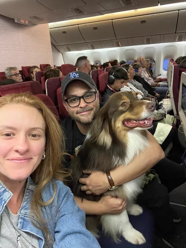 Família viajando na cabine do avião com seu cachorro no colo