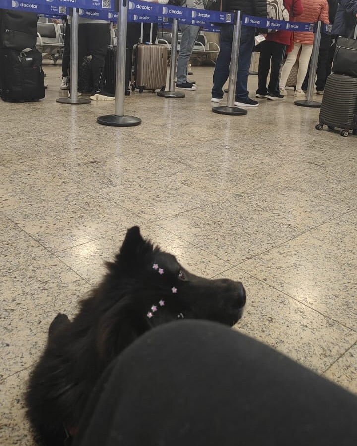 Bordô, 16 kg, na cabine. Depois de todos dizerem não.
