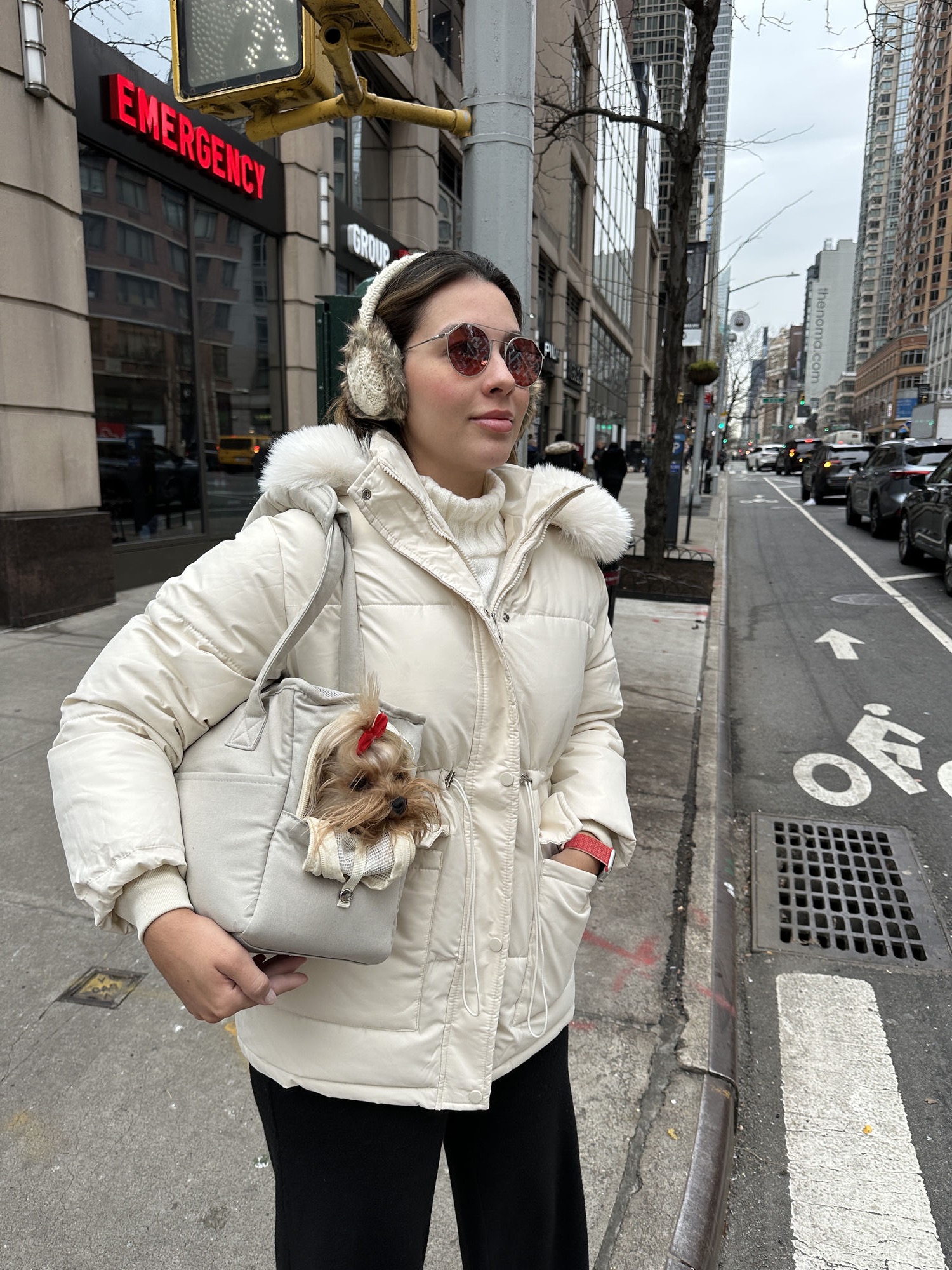 Luanna com a Hope na bolsa de transporte passeando por Nova York